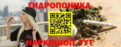 гашишное масло Сланцы