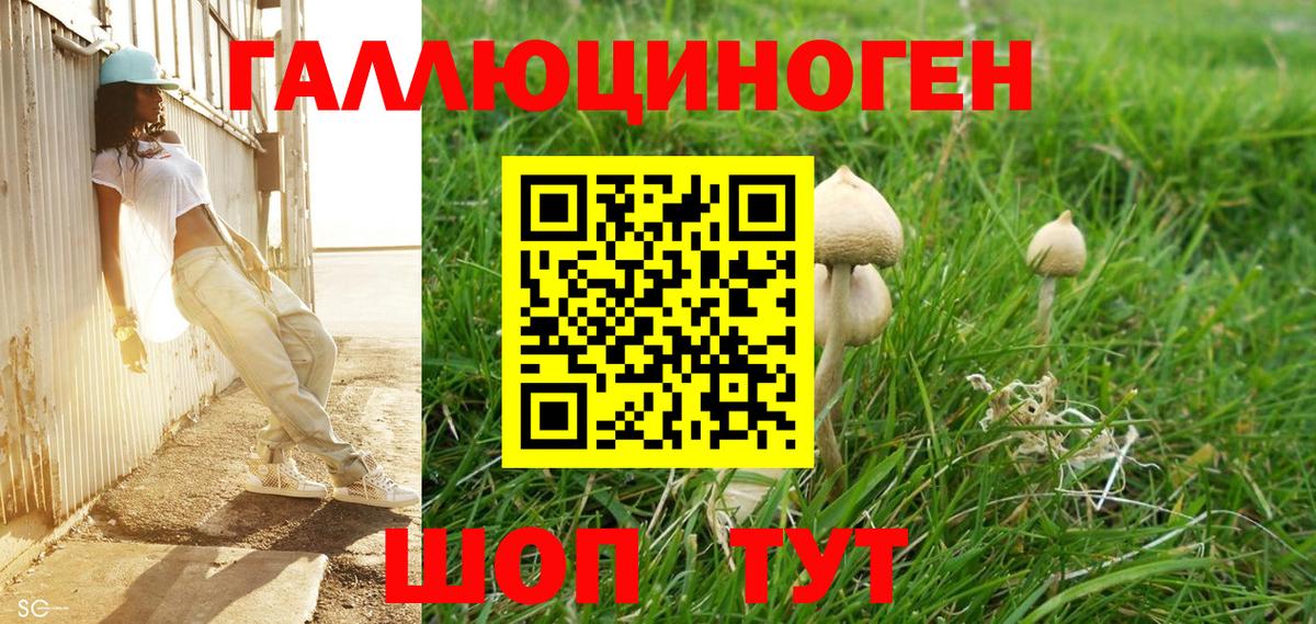 Галлюциногенные грибы Psilocybe  Вход с VPN  Похвистнево 