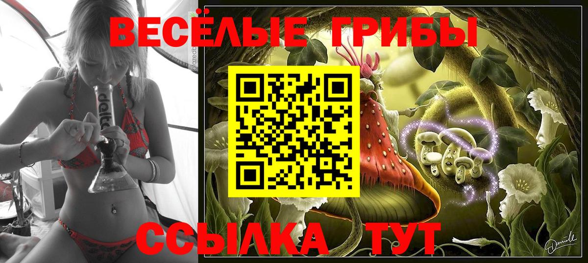 Галлюциногенные грибы прущие грибы Похвистнево
